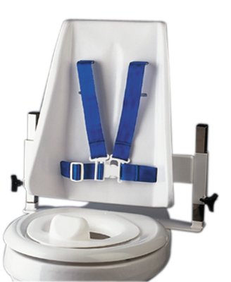 Toilet Support System